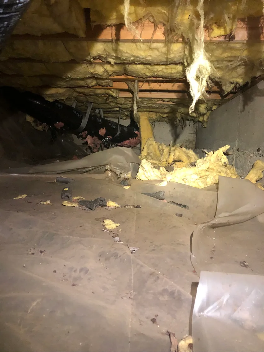 Damaged yellow insulation hanging beneath floor joists, with debris on the crawlspace ground sheet
