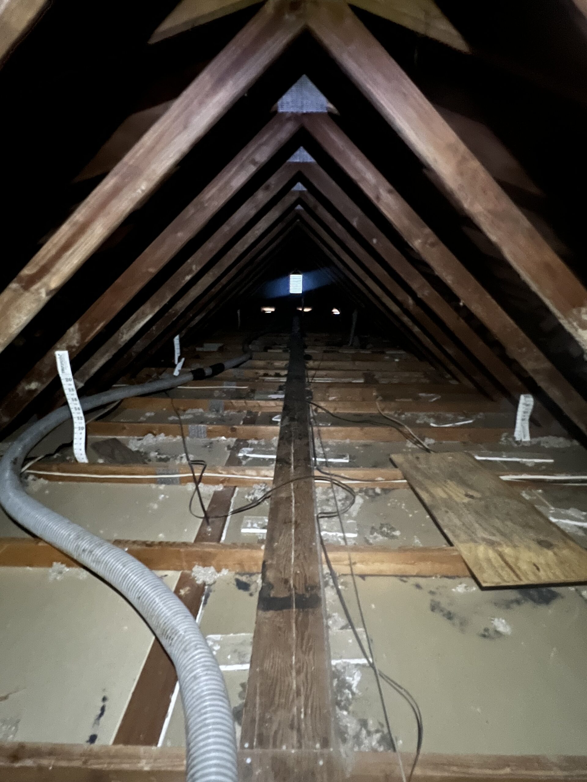 Attic before insulation cleanup in Tacoma